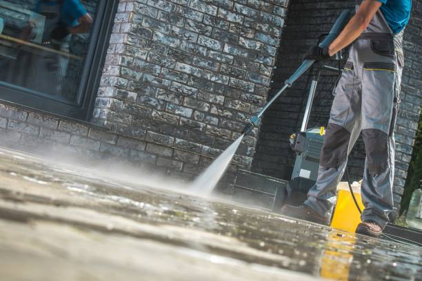Best Animal Enclosure Cleaning  in Tenino, WA
