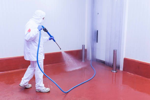 Best Rust Removal  in Tenino, WA