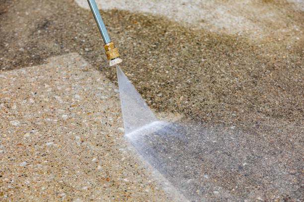 Best House Exterior Washing  in Tenino, WA